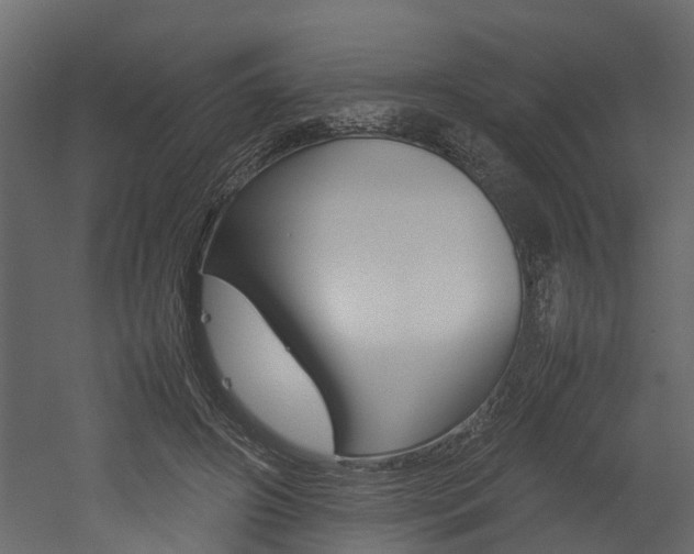X0000052970498200507080925