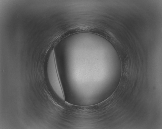 X0000052970500200507080925