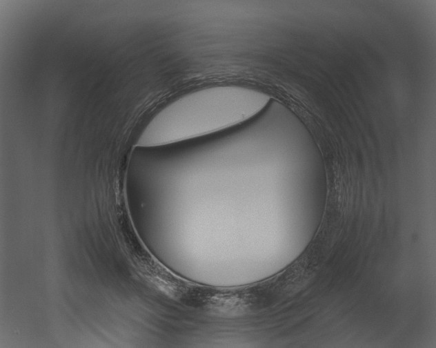 X0000052970502200507080925