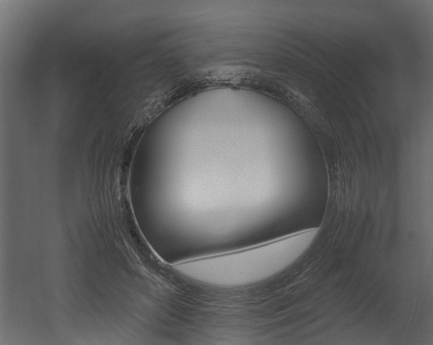 X0000052970504200507080925