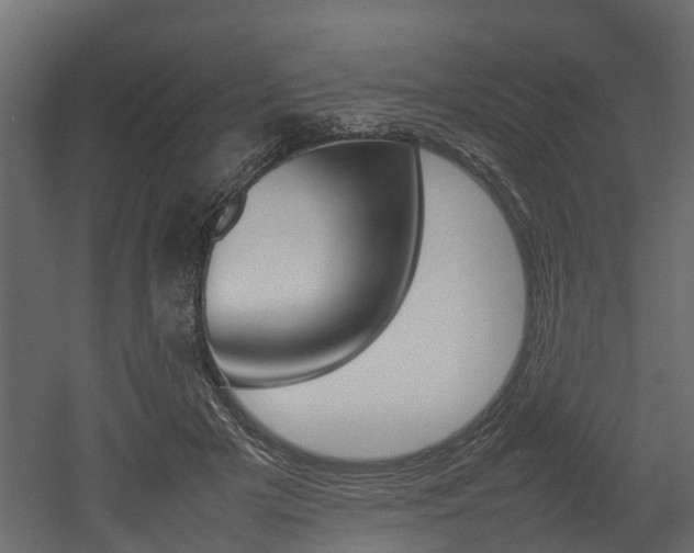 X0000052970505200507080925