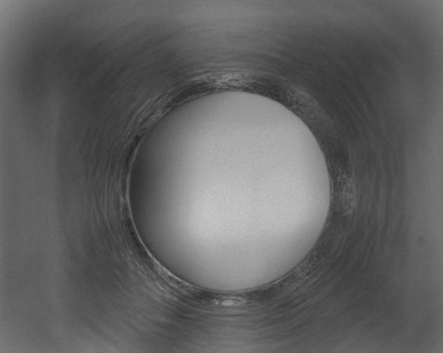 X0000052970506200507080925