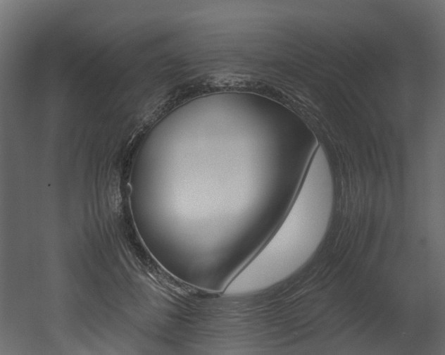 X0000052970508200507080925