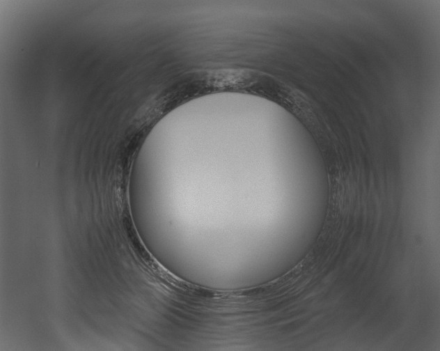 X0000052970510200507080925