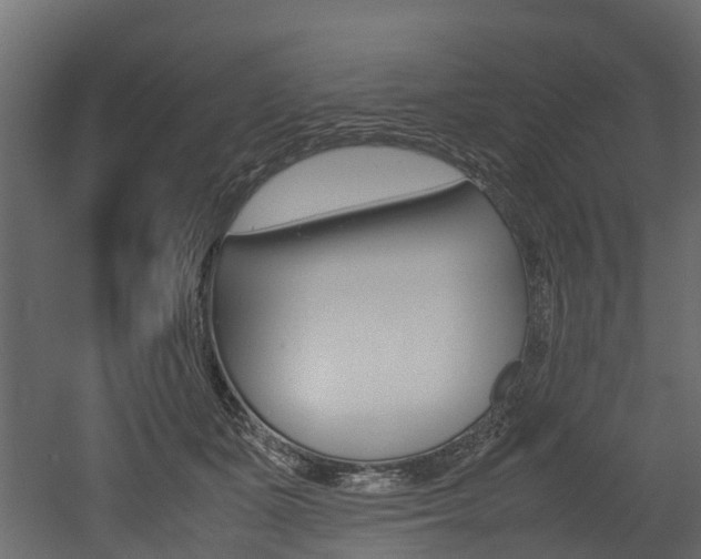 X0000052970511200507080925