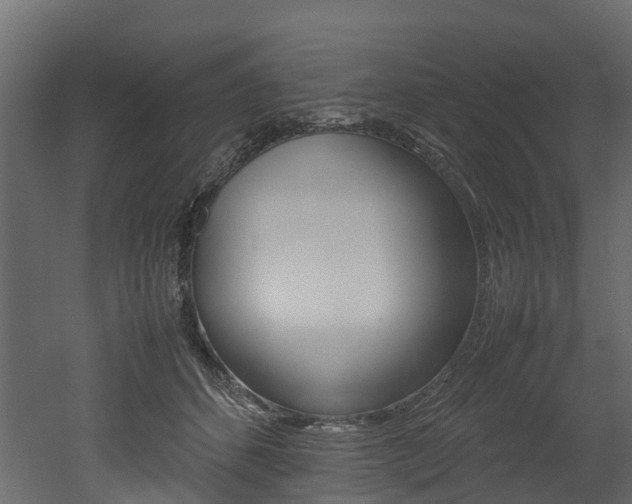 X0000052970512200507080925