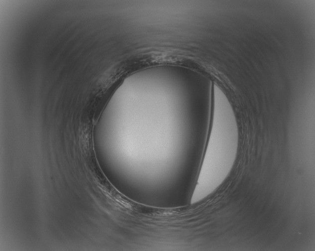 X0000052970513200507080925