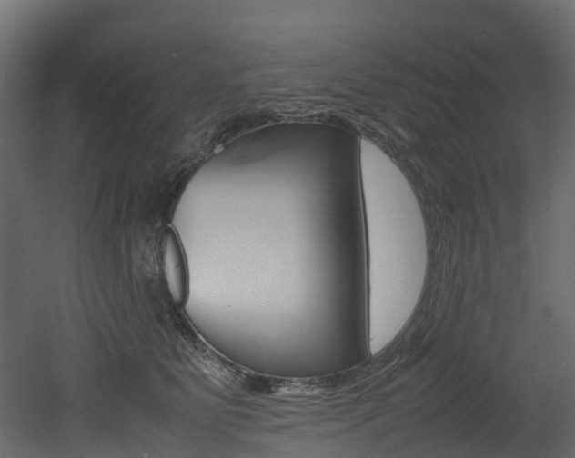 X0000052970515200507080925