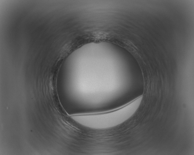X0000052970516200507080925