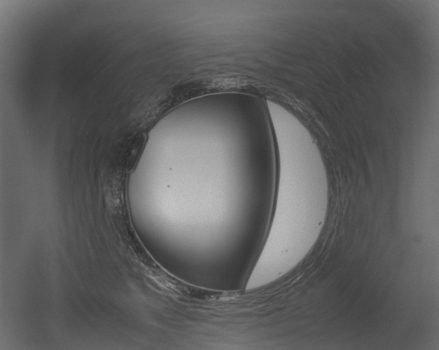 X0000052970517200507080925