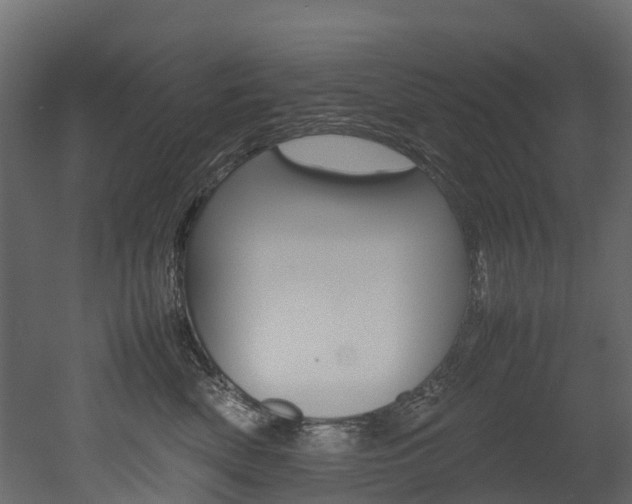 X0000052970522200507080925