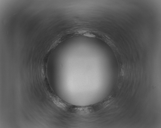 X0000052970524200507080925