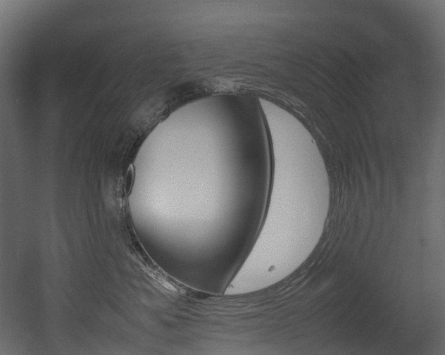 X0000052970525200507080925