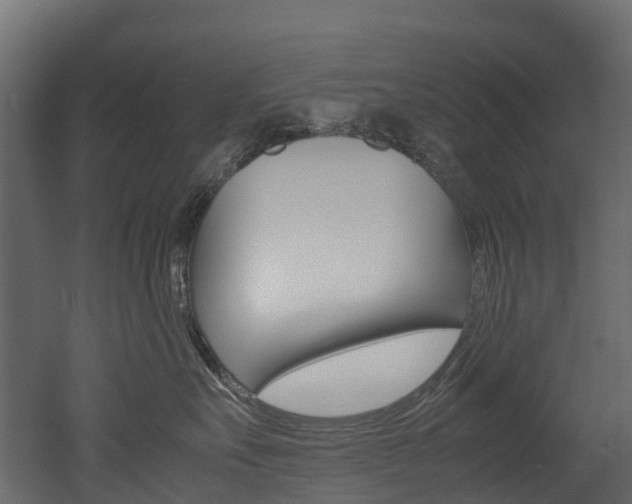 X0000052970527200507080925