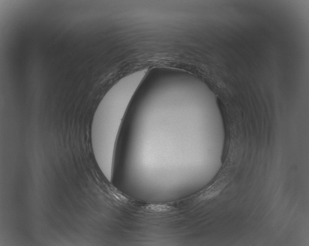 X0000052970528200507080925