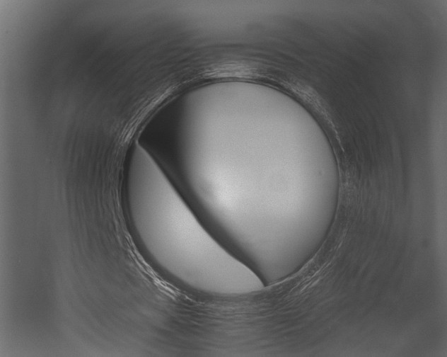 X0000052970529200507080924