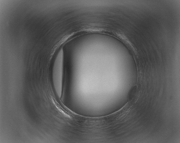 X0000052970533200507080924