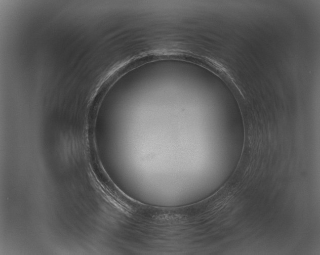 X0000052970535200507080924