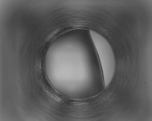 X0000052970539200507080924