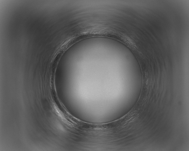 X0000052970542200507080924