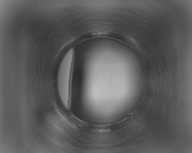 X0000052970543200507080924