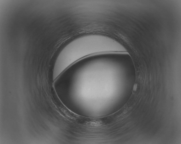 X0000052970548200507080924