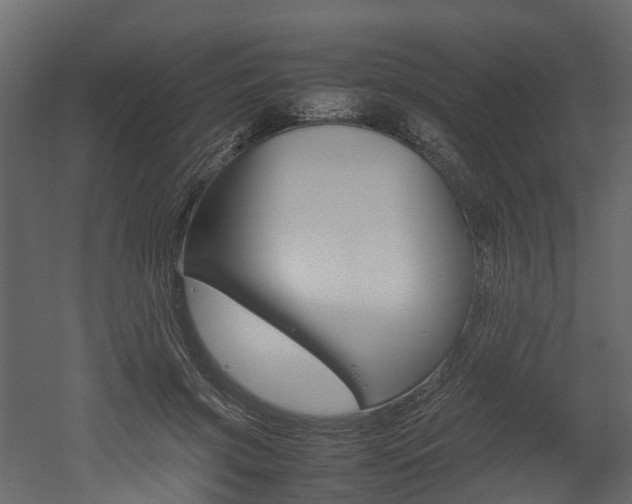 X0000052970549200507080924