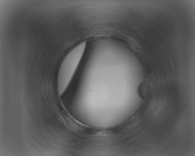 X0000052970550200507080924