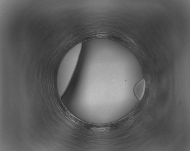 X0000052970553200507080925