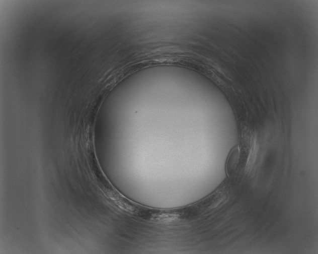 X0000052970554200507080925