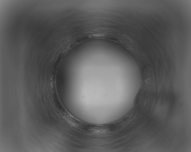X0000052970555200507080925