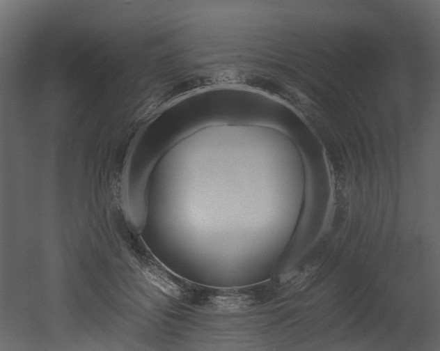 X0000052970556200507080925