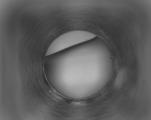 X0000052970557200507080925