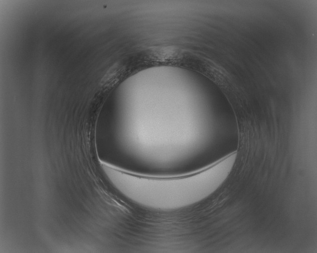 X0000052970558200507080925