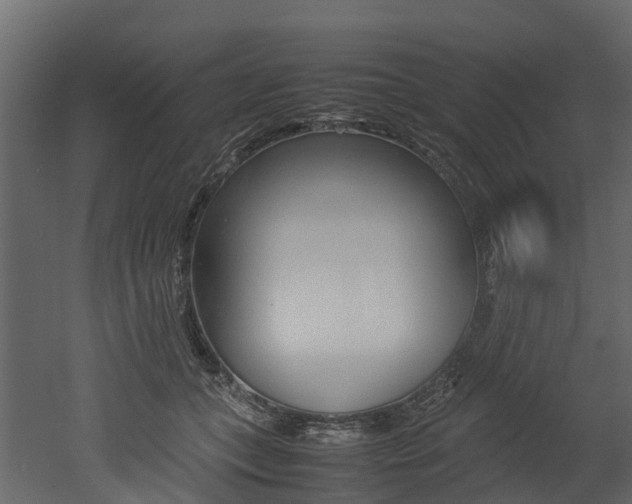 X0000052970559200507080925
