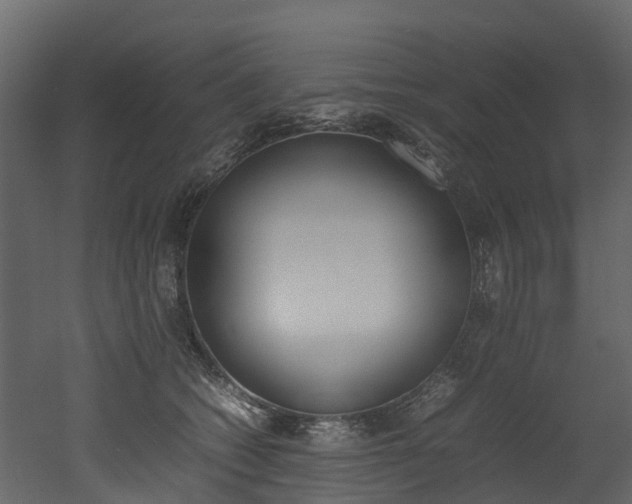 X0000052970562200507080925