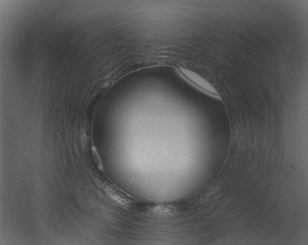 X0000052970566200507080925