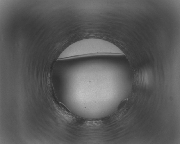 X0000052970571200507080925
