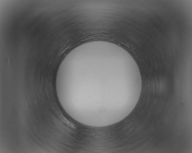 X0000052970572200507080925