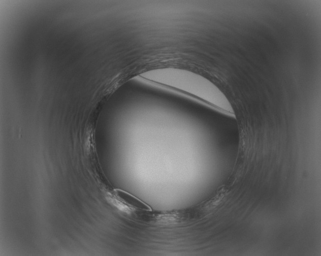 X0000052970574200507080925
