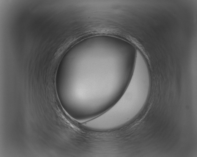 X0000052970577200507080924