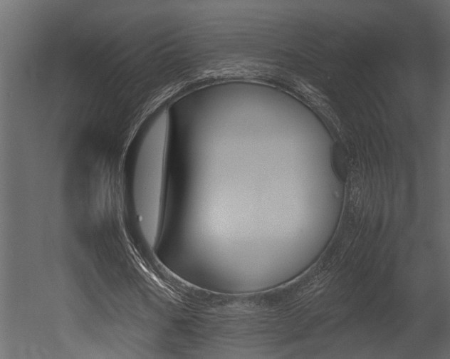 X0000052970578200507080924