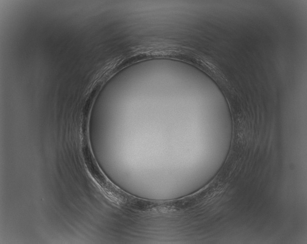 X0000052970586200507080924