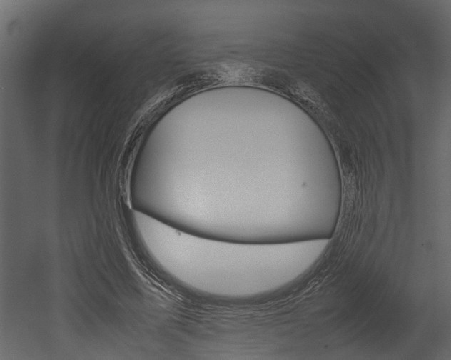 X0000052970587200507080924