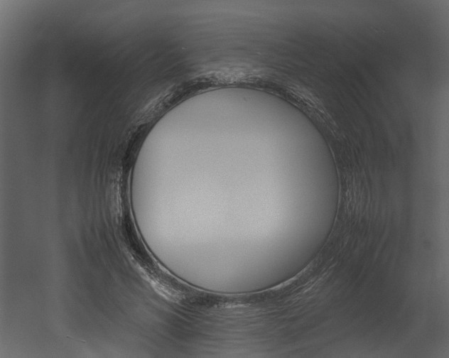 X0000052970590200507080924