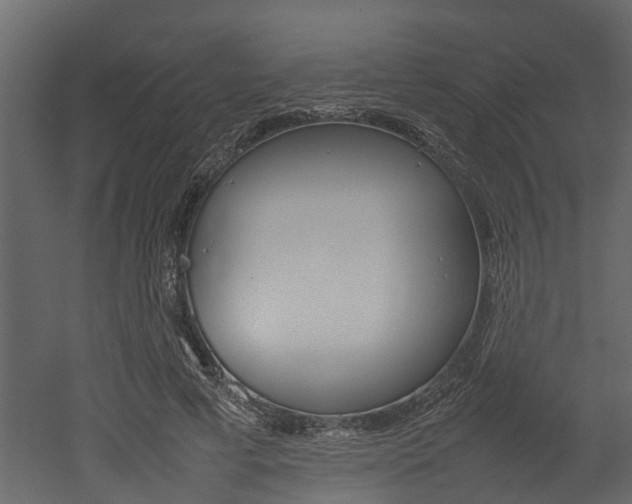 X0000052970593200507080924