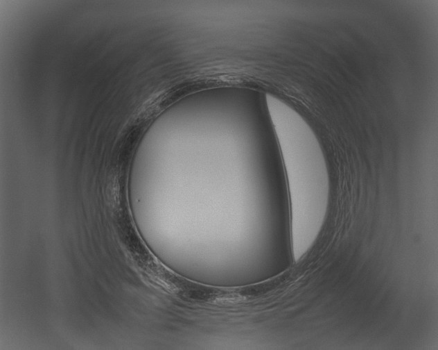 X0000052970595200507080924