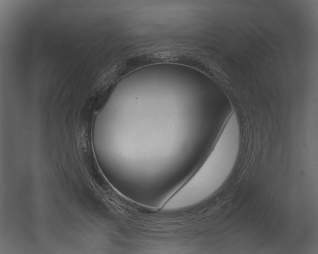X0000052970597200507080924