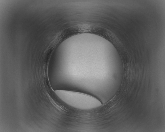 X0000052970598200507080924
