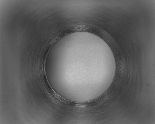 X0000052970602200507080924